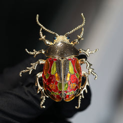 Colorful Beetle